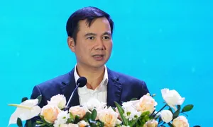 'Thành công của VinIF là động lực để doanh nghiệp tài trợ cho nhà khoa học' 'Thành công của VinIF là động lực để doanh nghiệp tài trợ cho nhà khoa học'