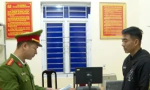 Giám đốc công ty trình diễn pháo hoa bị phát hiện tàng trữ pháo nổ