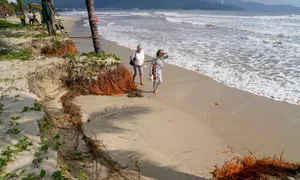 Xót xa vì bãi biển Mỹ Khê sạt lở Xót xa vì bãi biển Mỹ Khê sạt lở