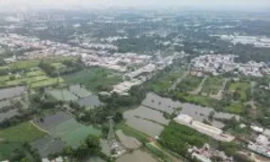 Thanh khoản đất nền giảm sâu năm 2024 Thanh khoản đất nền giảm sâu năm 2024