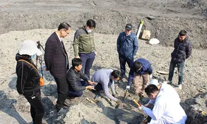 Phát hiện hóa thạch cá sấu kỷ Đệ Tam tại Lạng Sơn Phát hiện hóa thạch cá sấu kỷ Đệ Tam tại Lạng Sơn