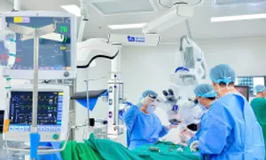Mạch máu li ti như 'làn khói' trong não thúc đẩy đột quỵ